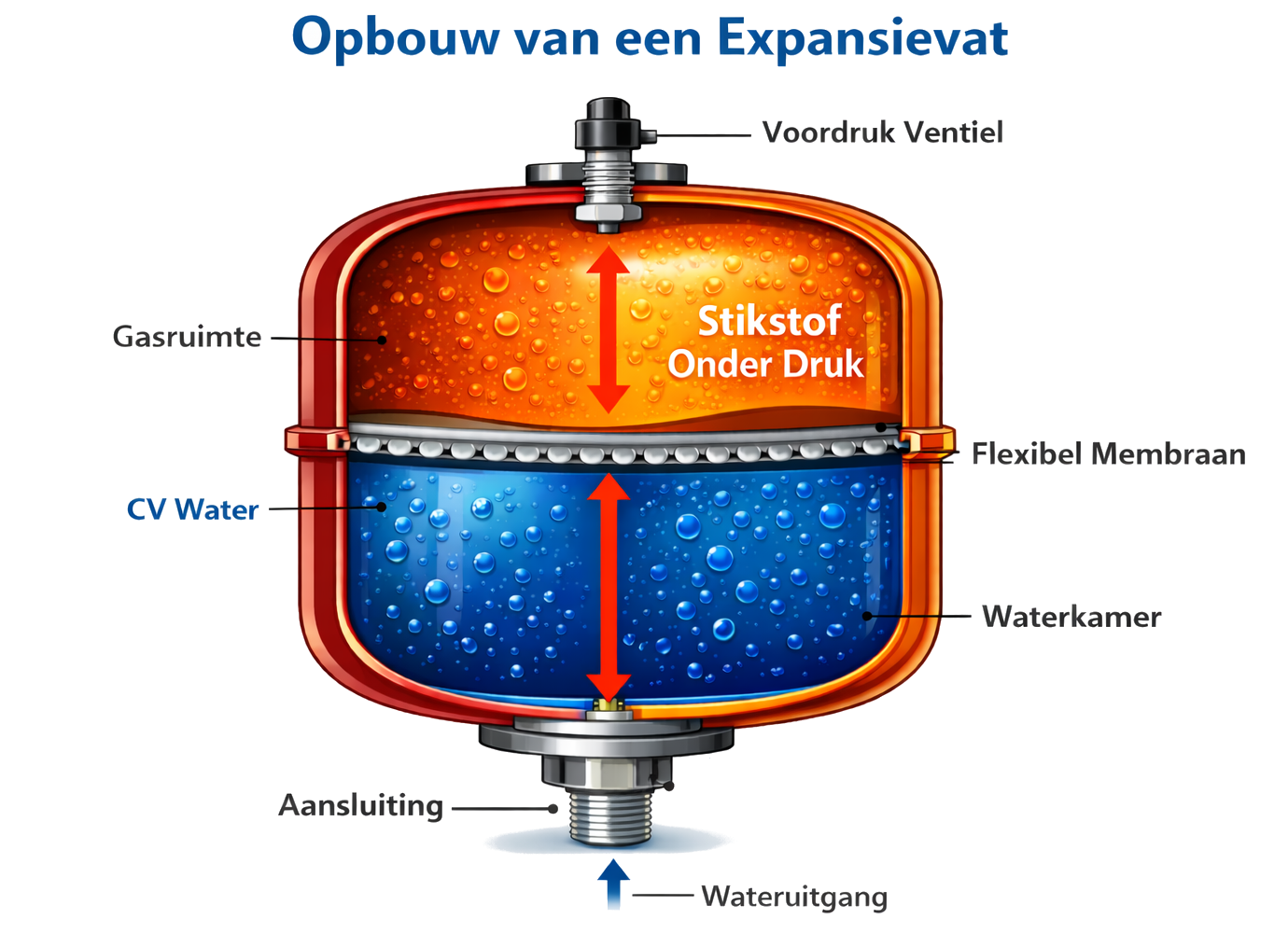 Doorsnede van een CV expansievat met gasruimte (stikstof onder druk) boven het membraan en waterkamer onderin met 3/4 aansluiting.