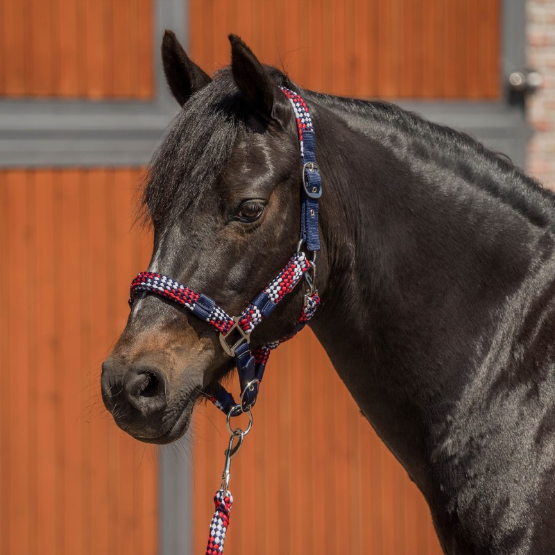 halsterset horka