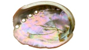 Mother-of-pearl